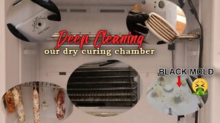 How to properly deep clean your dry curing chamber