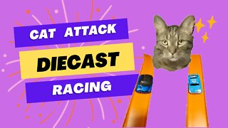 Cat Watches Toy Cars Racing ( 3 Drag Races Between 2 Diecast toy car But with a Cat chasing it )