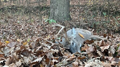 2022 Ohio public land hunt (teaser)