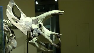 Milwaukee Public Museum issuing 4K free membership passes to local families on Giving Day