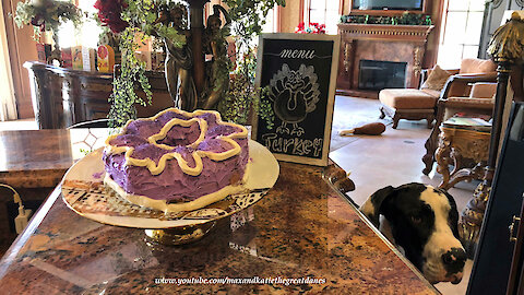 Great Danes and Purple Rain Cake Poem and Baking Fun