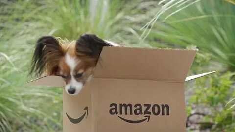 Promoções INCRÍVEIS na Amazon!