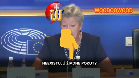 Ako sa povie pokuta "po európsky"? Povinná solidarita s možnosťou flexibility 💩 2023