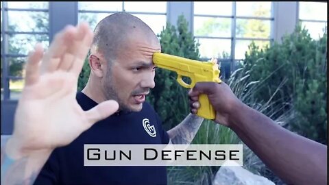 Gun Defense