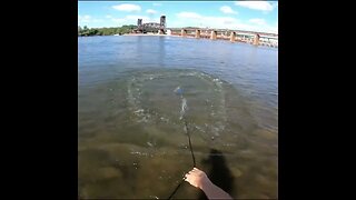 cast net fishing