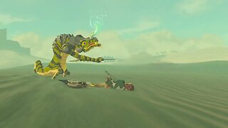 The Legend of Zelda: Breath of The Wild #34