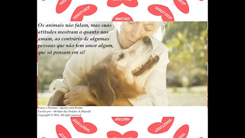 Os animais não falam, suas atitudes mostram o quanto nos amam! [Frases e Poemas]