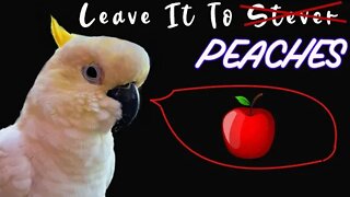 Leave it To Peaches - Fridaze Night bird bath party