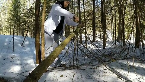 Solo Winter Bushcraft: Overnight in an Elevated Shelter-6