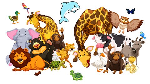 Animals Worlds