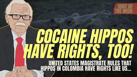 Cocaine Hippos Have Rights, Too! | Idiot of the Week | Bob Barr's Laws of the Universe