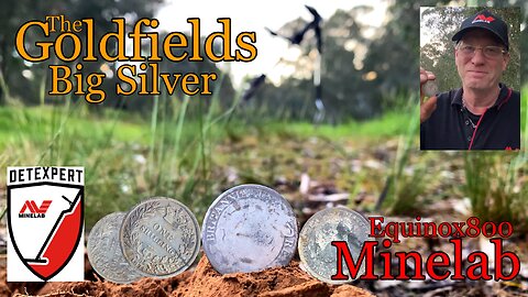 The Goldfields Big Silver