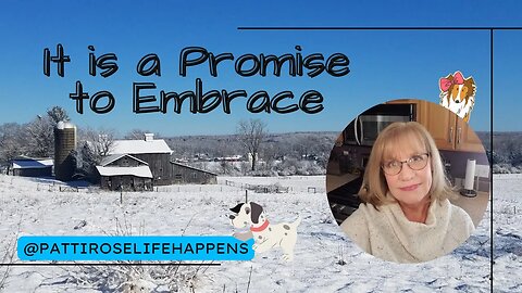 It is a Promise to Embrace 💕 3 8 2023 #devotions #devotional