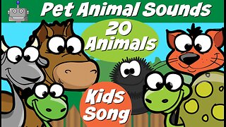 ANIMAL SOUNDS | PET ANIMALS| NURSERY RHYMES | SILLY SONGS | KIDS SONGS | SING ALONG