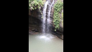 Buderim waterfalls