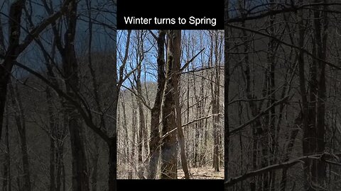 Winter turn to Spring