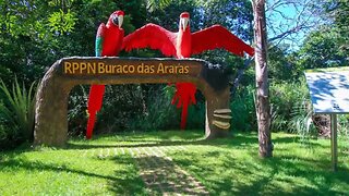 Historia da Cidade de Jardim Mato Grosso do Sul