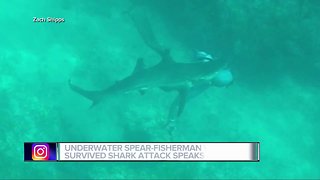 Underwater spear-fisherman survives shark attack