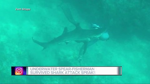 Underwater spear-fisherman survives shark attack