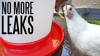 Fixing A Leaky Harris Farms Easy-Fill Poultry Drinker