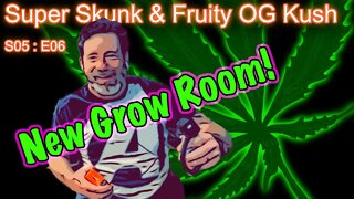 S05 E06 Super Skunk / Fruity OG Kush Organic Cannabis Grow - New Grow Room!