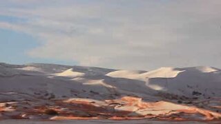 Sahara dækket af sne efter et sjældent fænomen
