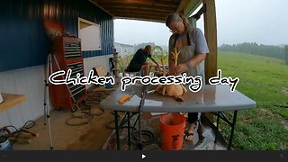 Chicken processing day #hedgehogshomestead #meatchickens