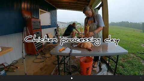 Chicken processing day #hedgehogshomestead #meatchickens