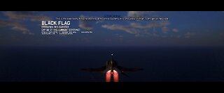 Project Wingman