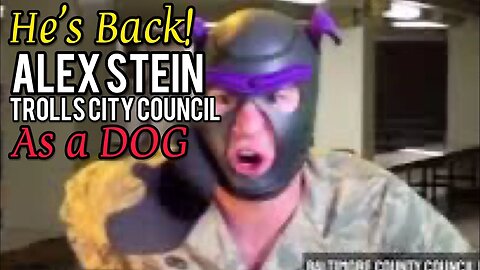 Alex Stein RETURNS to City Council Meeting as a Dog! Chrissie Mayr Reacts!