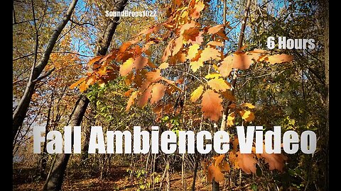 6 Hours of Peaceful Fall Sounds 🍃