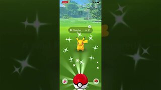 Shiny Compilation