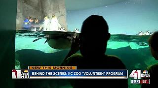 Teens get hands-on experience at Kansas City Zoo