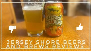 Beer Review of Dogfish Head Perfect Pairing Pale Ale