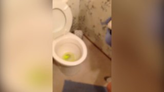 An Alien Peed In Your Toilet Prank