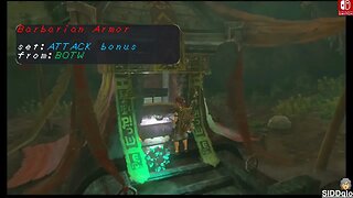 RARE ARMOR in Zelda TOTK Location (Skyward Sword, Barbarian, Climbing set)