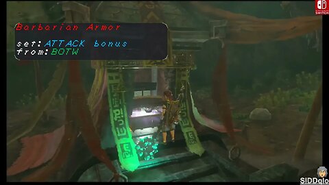 RARE ARMOR in Zelda TOTK Location (Skyward Sword, Barbarian, Climbing set)