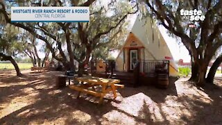 Westgate River Ranch Resort & Rodeo | Giant Adventure