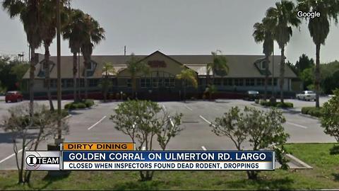 Dirty Dining: Golden Corral closes for 24-hours after 100+ rodent droppings were found near buffet