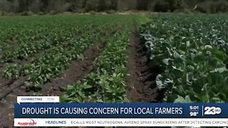 Drought is causing concern for local farmers