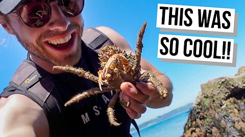 Coastal Foraging in Pembrokeshire Wales | Catching and Cooking Our Seafood Haul!
