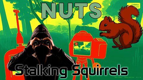 NUTS - Stalking Squirrels