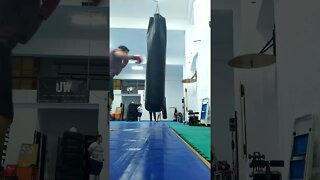 Punch The Bag (30)