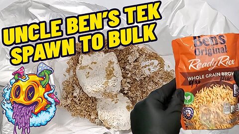Uncle Ben's Tek Spawn To Bulk for Monotubs & Shoeboxes (My First Time)