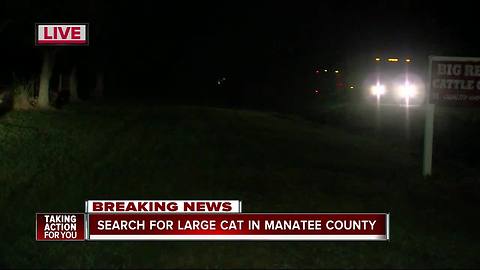 Manatee County Sheriff’s Office search for possible tiger in Myakka City