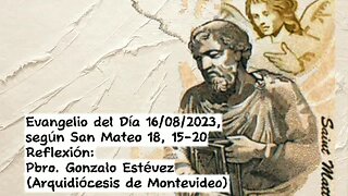Evangelio del Día 16/08/2023, según San Mateo 18, 15-20 - Pbro. Gonzalo Estévez