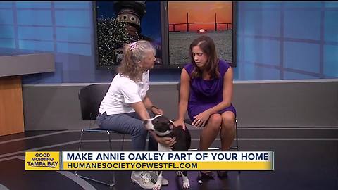 Rescues in Action: Annie Oakley