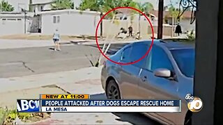 People attacked after dogs escape La Mesa rescue home