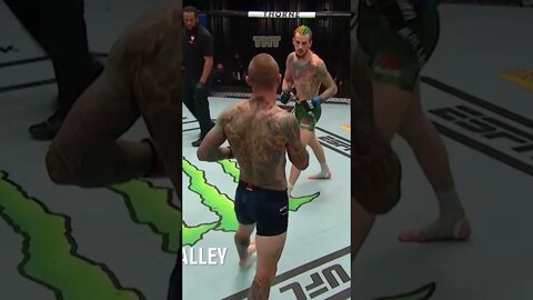 O'Malley Puts Opponent To SLEEP For Walk Off KNOCKOUT 😴😱