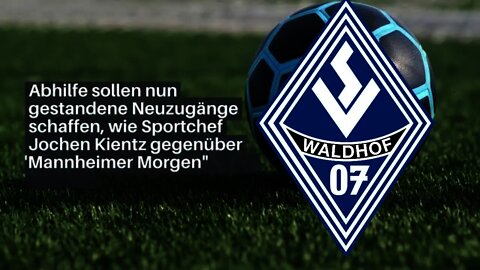 Waldhof Mannheim auf der Suche nach Abwehrspieler kommt Schultz zurück?